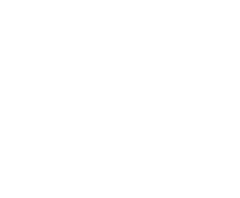 Wall Street Lending Logo